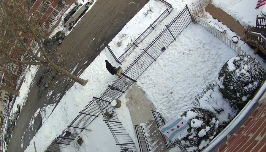 Reolink Camera Two_01_Reolink Home Hub One_20260131145059.jpg